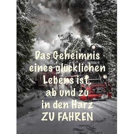 Harzhaus Time Out Appartement *